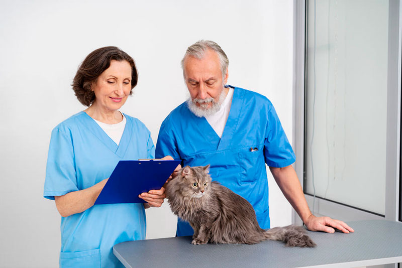 veterinarios cerca de mi